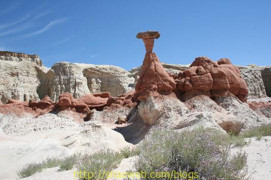 toadstool-hoodoo